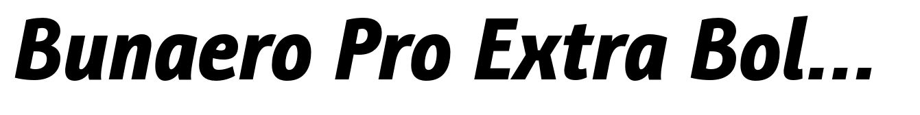 Bunaero Pro Extra Bold Italic